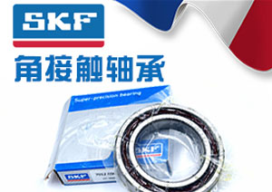 SKF進(jìn)口軸承異常響聲的檢測(cè)方法與儀器